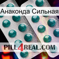 Анаконда Сильная dapoxetine2